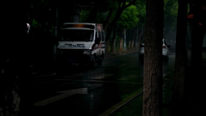 雨天阴森林荫路汽车