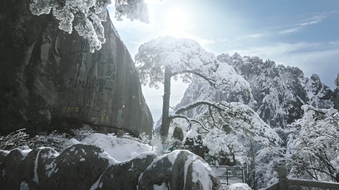 4K黄山迎客松雪景