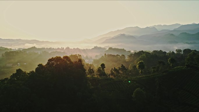 茶山清晨日出炊烟升起