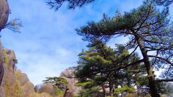 安徽黄山风景区云海延时美景唯美大自然风景