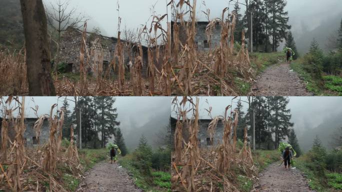 贫困山区视频云南昭通山区破败石头房子