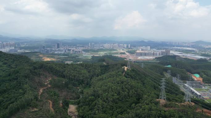 中新知识城高空航拍