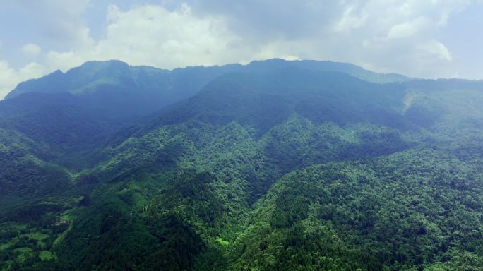 瓦屋山西面航拍 雅安桌山 大熊猫国家公园