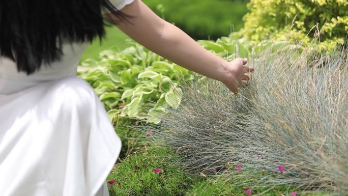 公园 绿植 女孩轻抚过草丛