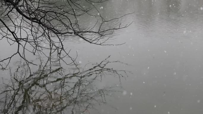 公园湖边大雪纷飞