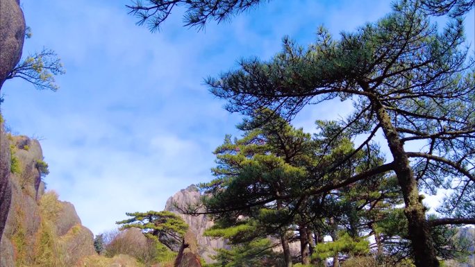 安徽黄山风景区云海延时美景唯美大自然风景