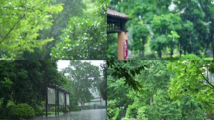 高清下雨暴雨雷雨极端天气倾盆大雨升格雨水