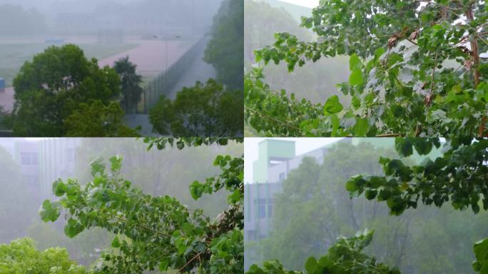 城市洪涝灾害狂风暴雨倾盆大雨下雨天雨水雨