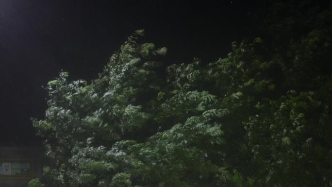 4k 城市暴雨 北京暴雨