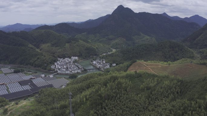 下姜村 4k hdr 超高清