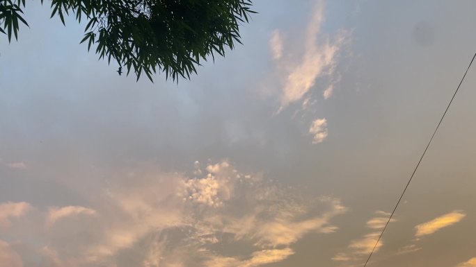 夕阳晚霞天空 竹林鸟飞过空境