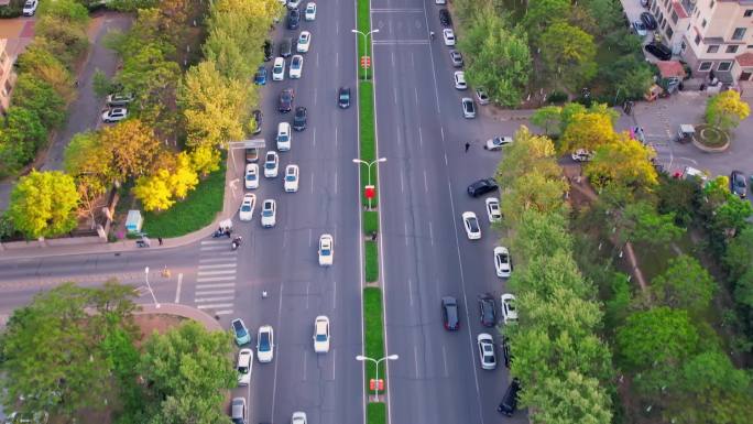 武清城市街景