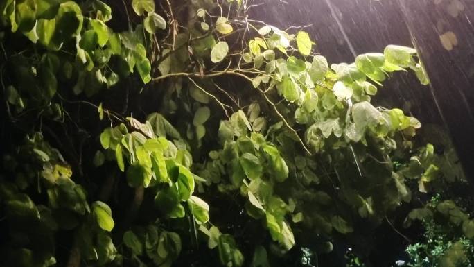 城市闪电黑暗路灯雨夜灯光雨夜路灯雷雨路灯