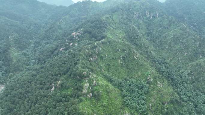 临沂蒙山龟蒙景区云海航拍