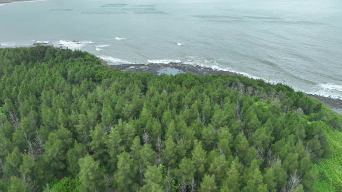 海岸森林礁石沙滩大海边树林航拍海岸线森林