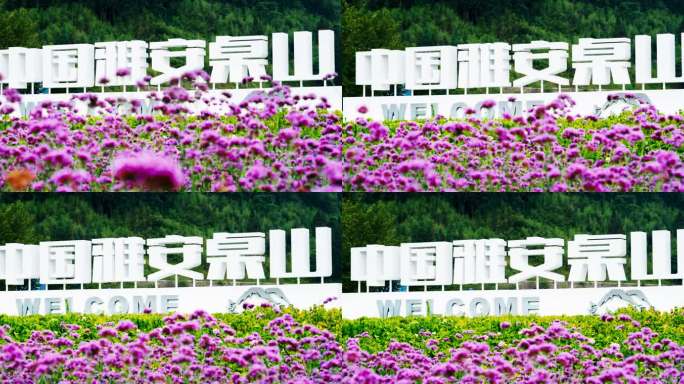 中国雅安桌山景点名称 雅安荥经宣传片素材