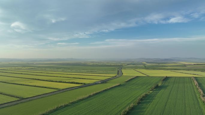 航拍垦区夏日田野风光