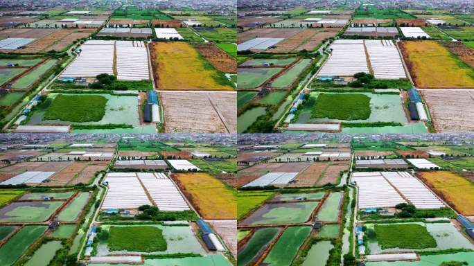 台州湾新区，工业城，农业种植航拍视频素材