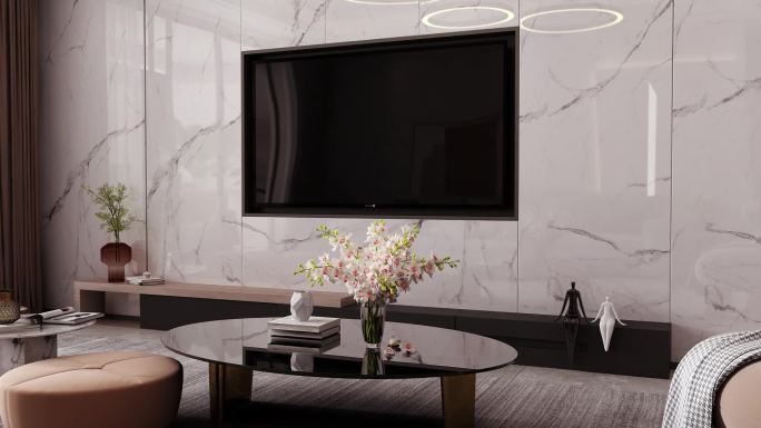 现代 简约客厅，餐厅，电视，花瓶