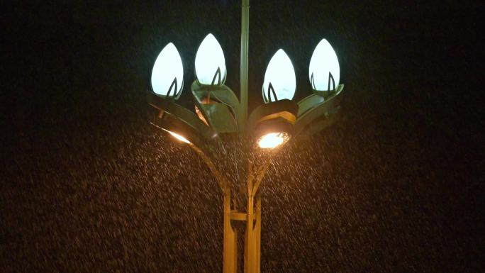 下雨天夜晚路灯下暴雨下大雨视频素材