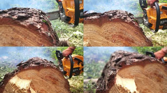 木宵飞溅油锯切木头电锯树木树干锯木头砍伐