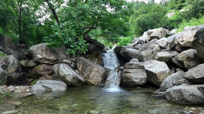 天然氧吧 丛林 原生态 中国蒙山