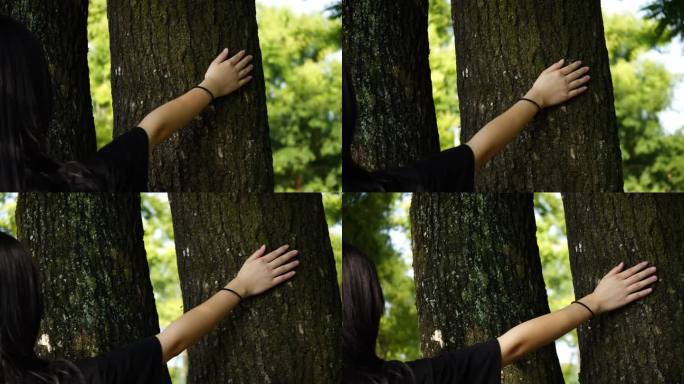 少女女孩手抚摸树木