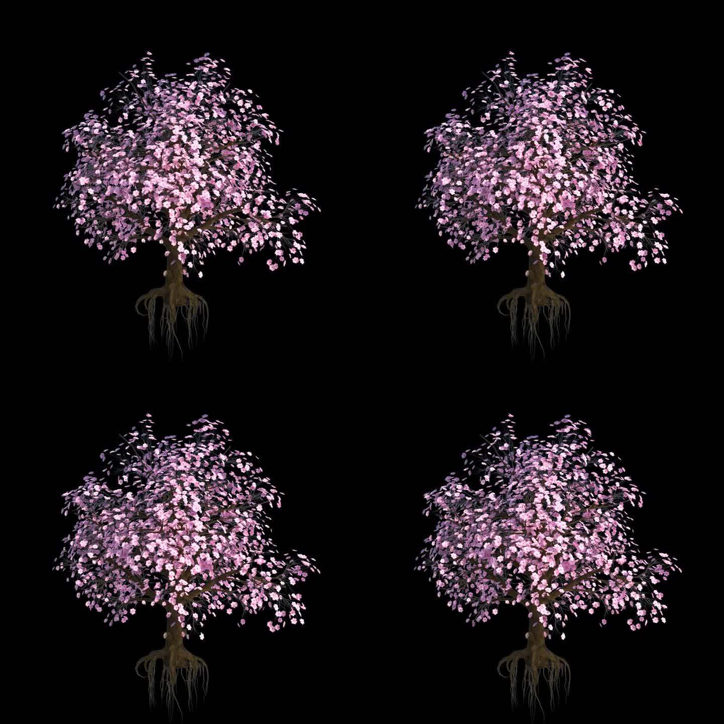 HS-通道素材-粉色花树mov