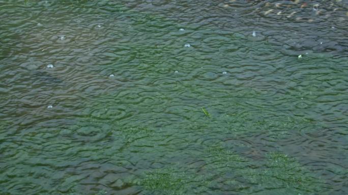 积水雨水下雨雨景