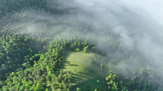 晨雾缭绕的绿色山林云海