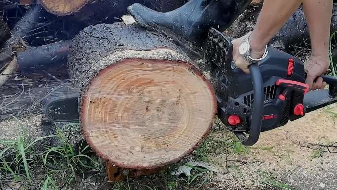 工人使用油锯伐木切木头