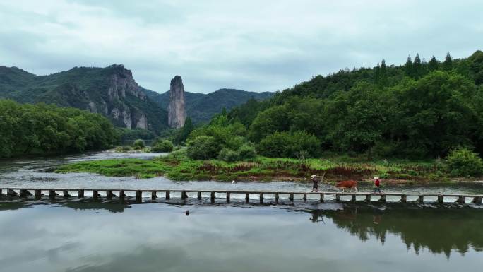 航拍浙江丽水旅游缙云仙都牵牛过石桥的农民