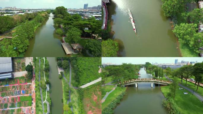 广州荔湾区大沙河湿地公园龙舟训练