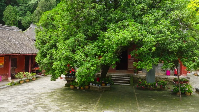 南阳市镇平县菩提寺