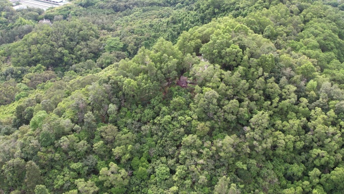 【正版素材】深圳笔架山公园