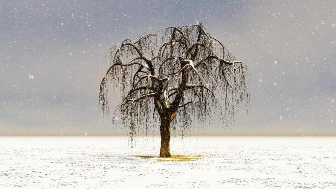 冬天雪花飘落中生长的树木