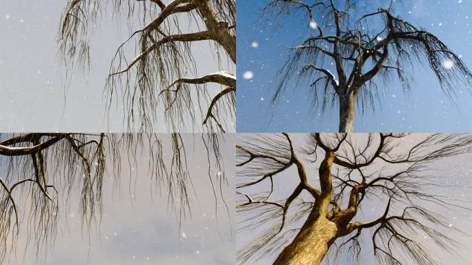 冬天雪花飘落中生长的树木