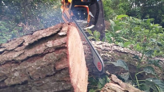 木宵飞溅油锯切木头电锯树木树干锯木头砍伐