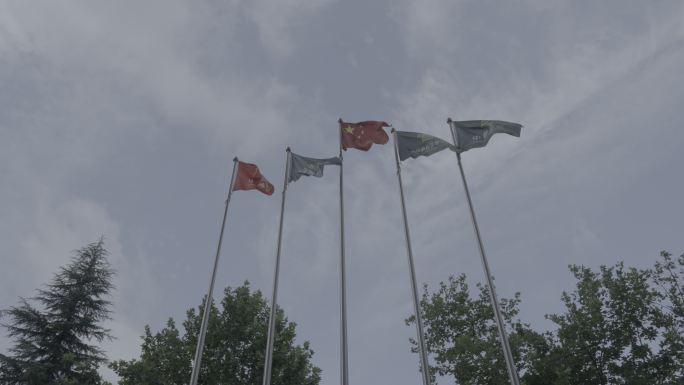 中国邮政储蓄银行陕西省分行红旗旗帜4