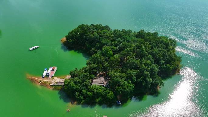 南湾湖猴岛全景 南湾湖湖心洲  游船停靠