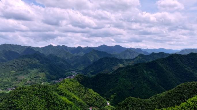 航拍江南浙江山区竹林竹海竹山延时