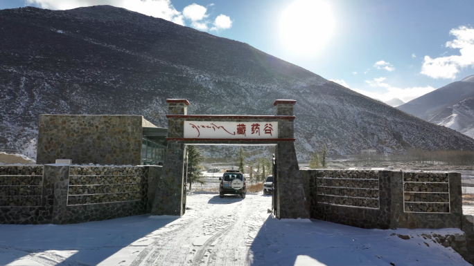 雪域高原的藏药谷藏药种植基地