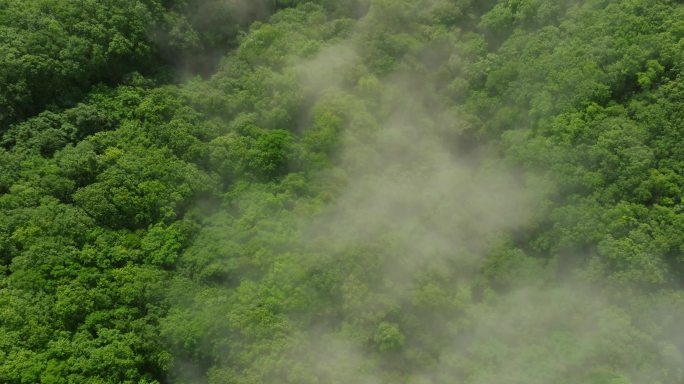 秦岭航拍，云端山川 5.1k