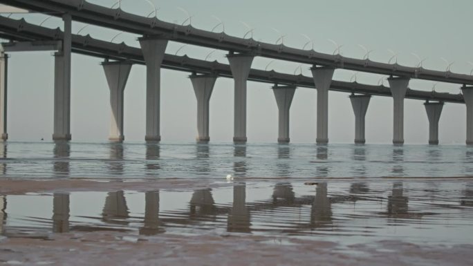 海湾与公路桥混浊的水