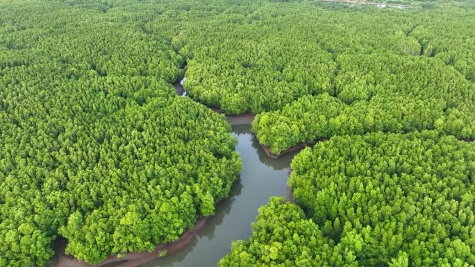 泰国攀牙省红树林日出鸟瞰图，4K(UHD)，海和红树林景观鸟瞰图