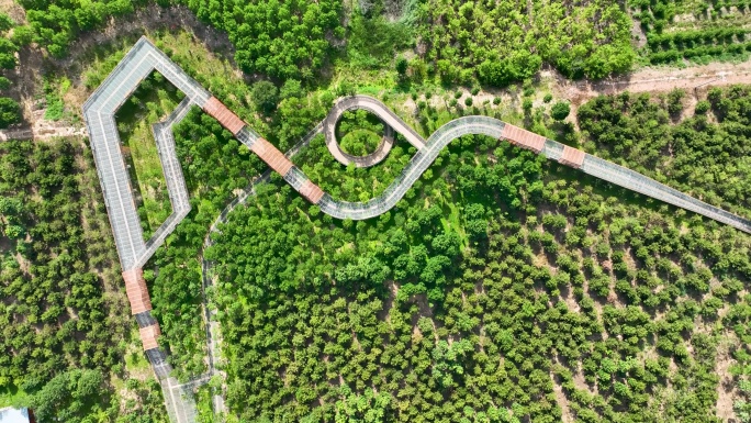 4K千年秀林府河湿地公园郊野公园金湖公园