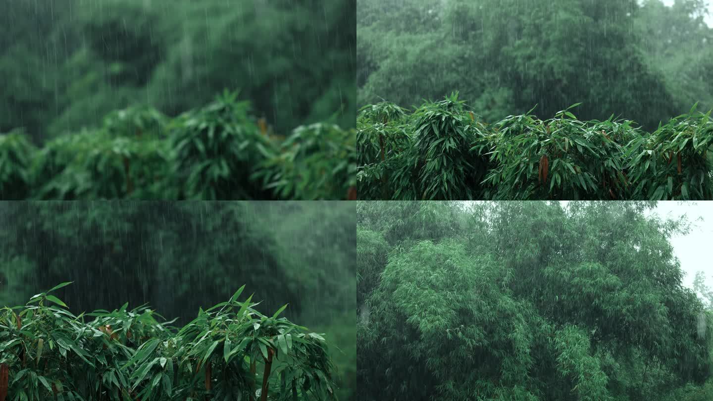 下雨天竹林雨滴空镜