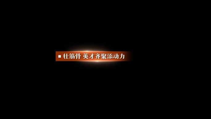 简洁橙色商务风 左下角说明性 解释性文字