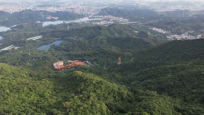 深圳仙湖植物园