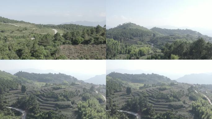 森林空镜4K带村庄航拍空镜大气唯美
